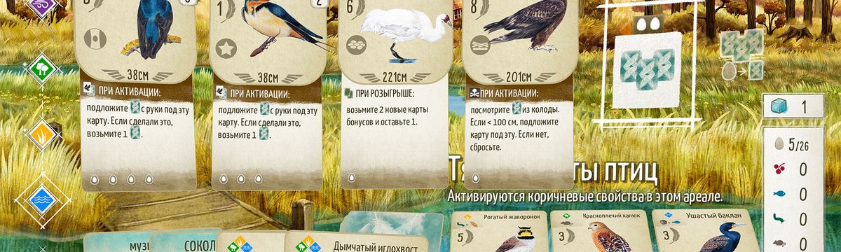 Wingspan