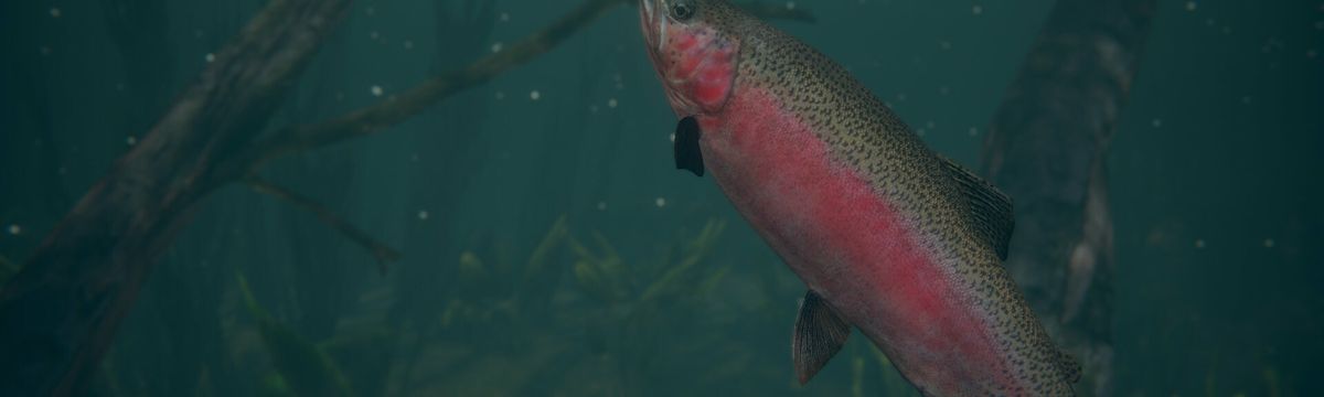 Ultimate Fishing Simulator 2