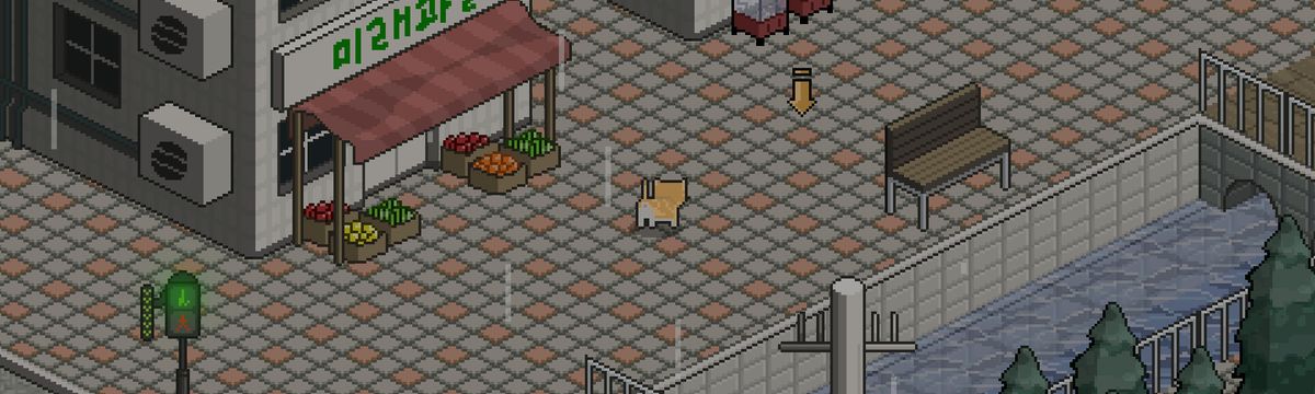 A Street Cat's Tale