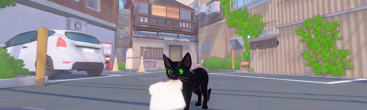 Little Kitty, Big City