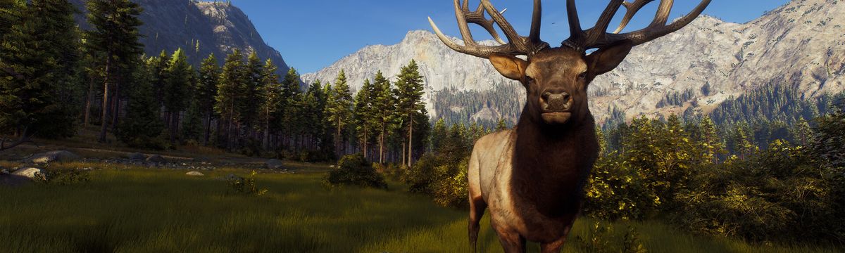 Way of the Hunter