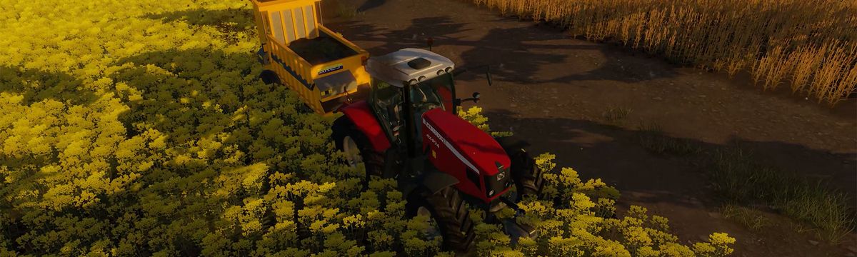 Real Farm