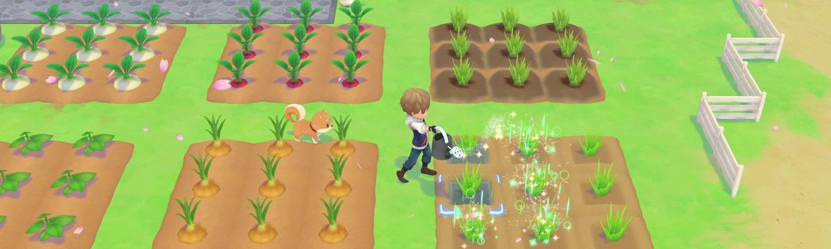 STORY OF SEASONS Pioneers of Olive Town