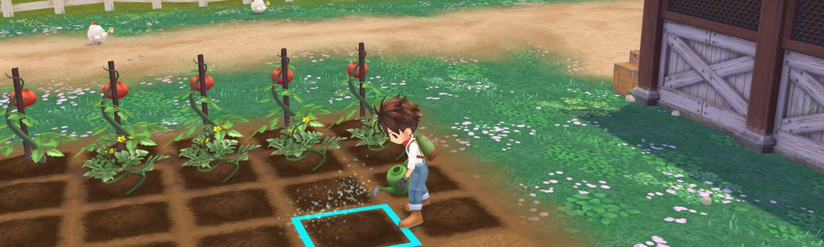 STORY OF SEASONS A Wonderful Life