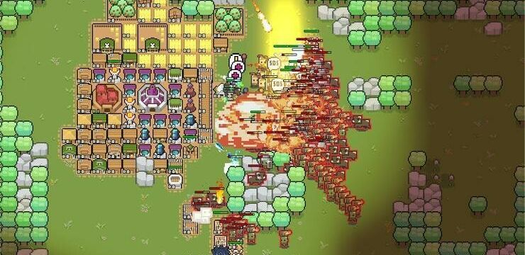 Border Pioneer