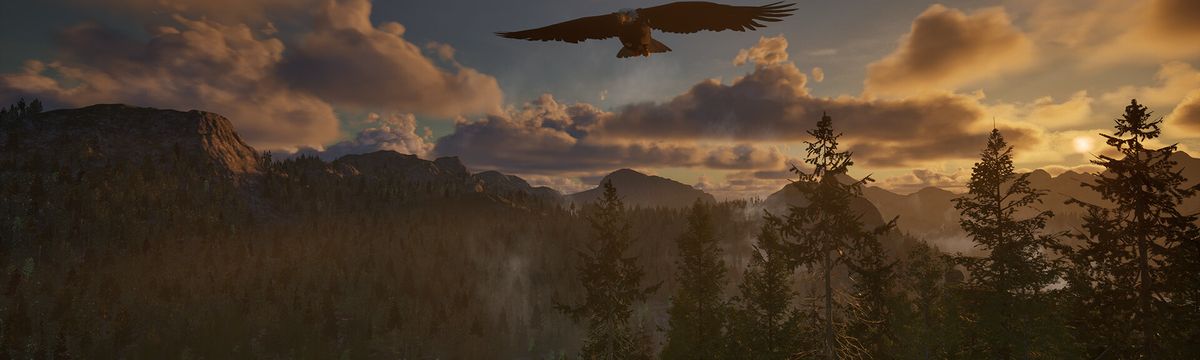 Ranger’s Path National Park Simulator