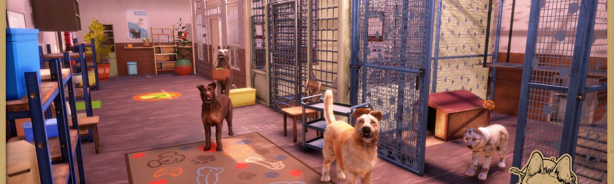 Animal Shelter 2