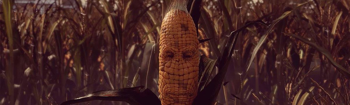 Maize