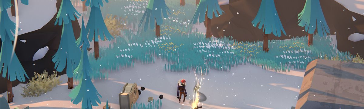 Project Winter