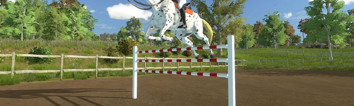 My Little Riding Champion