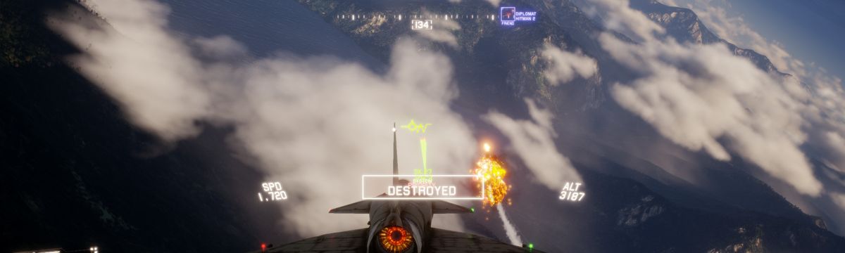 Project Wingman