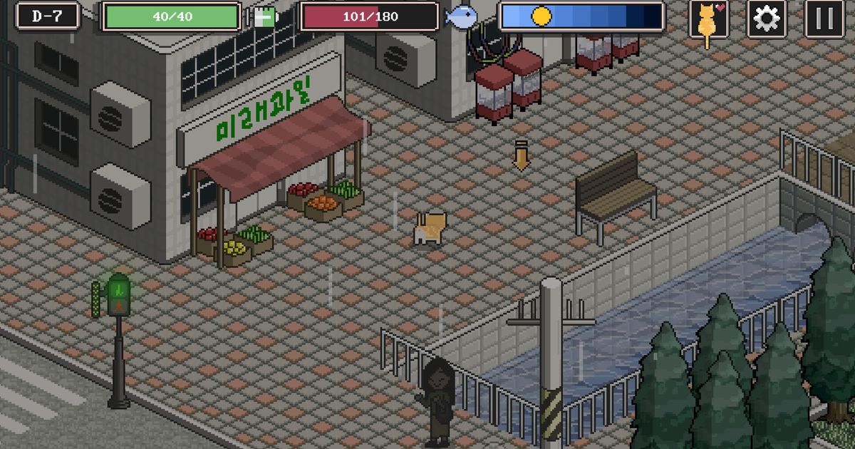 A Street Cat's Tale