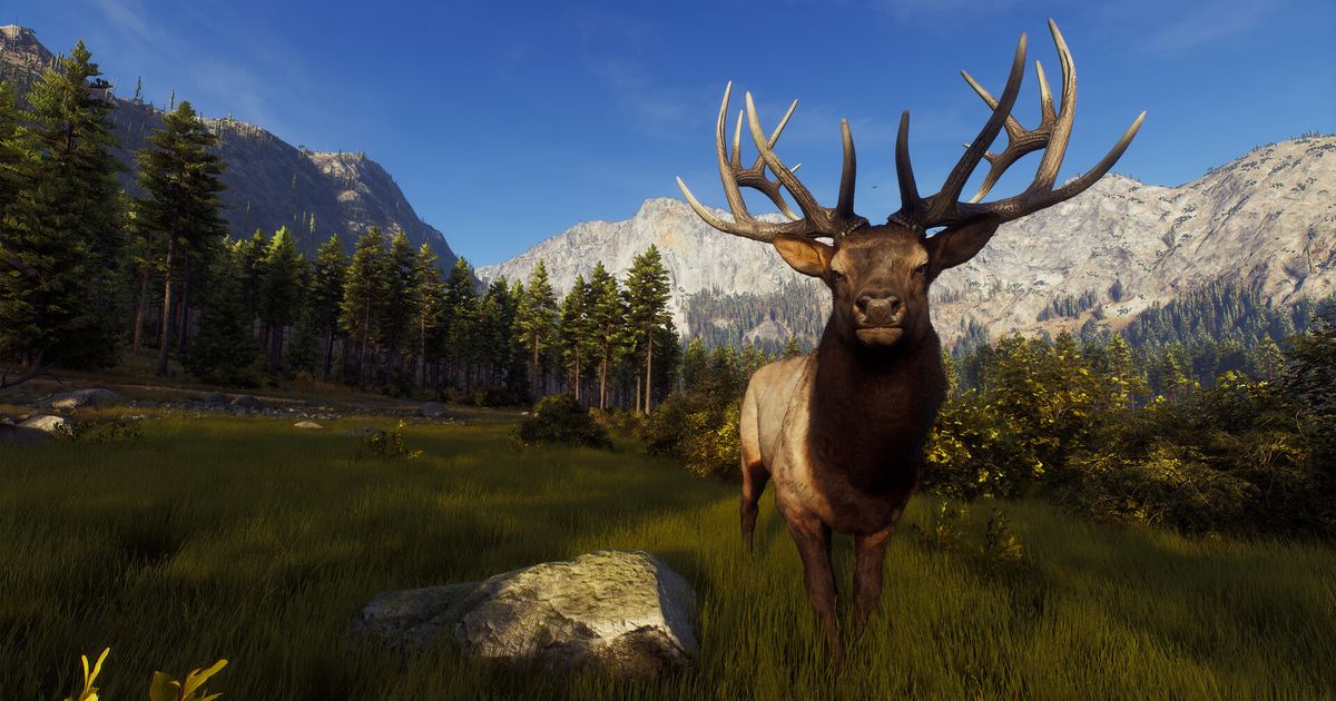 Way of the Hunter