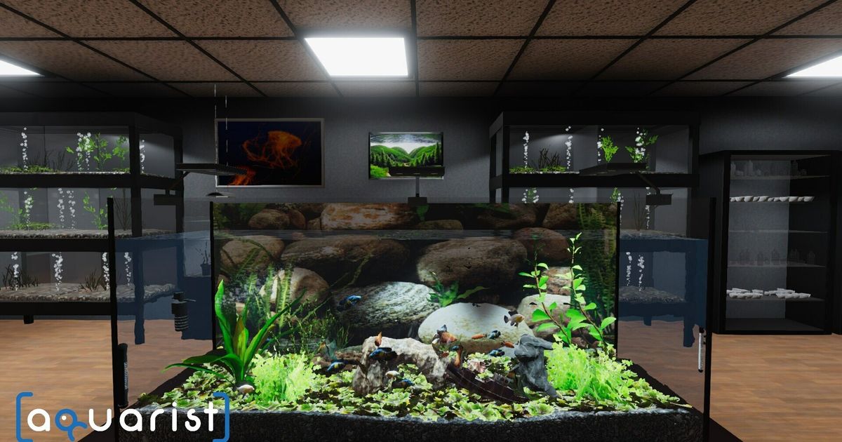 Aquarist