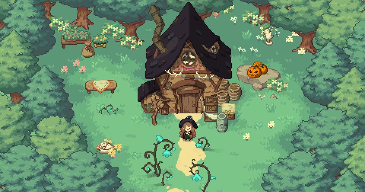 Little Witch in the Woods