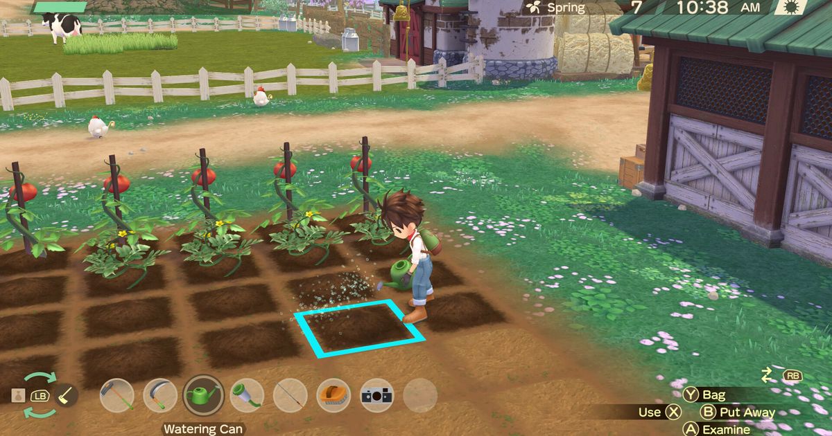 STORY OF SEASONS A Wonderful Life