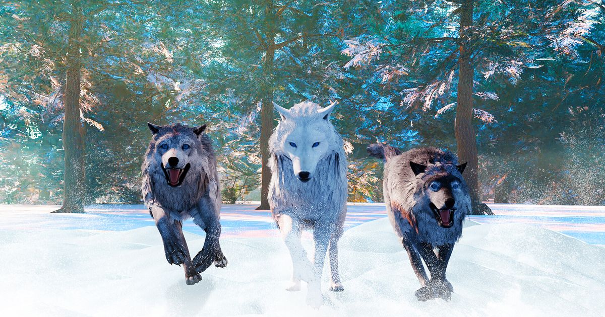 Wolf Simulator