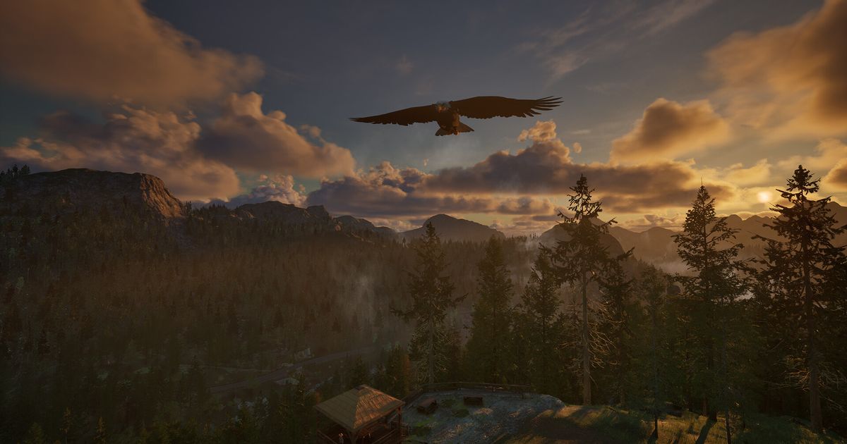 Ranger’s Path National Park Simulator
