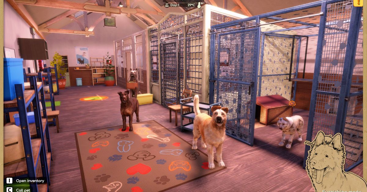 Animal Shelter 2