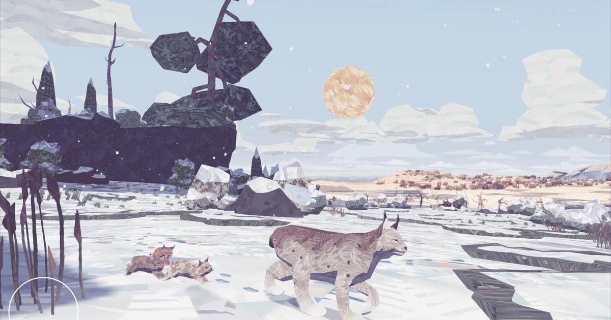 Shelter 2