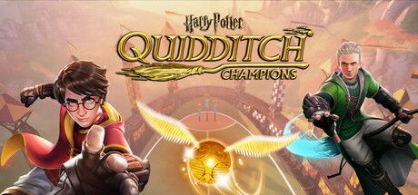 Harry Potter Quidditch Champions