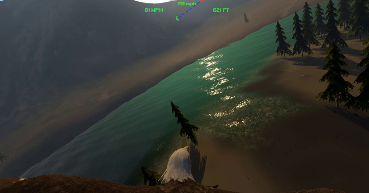 Aquila Bird Flight Simulator