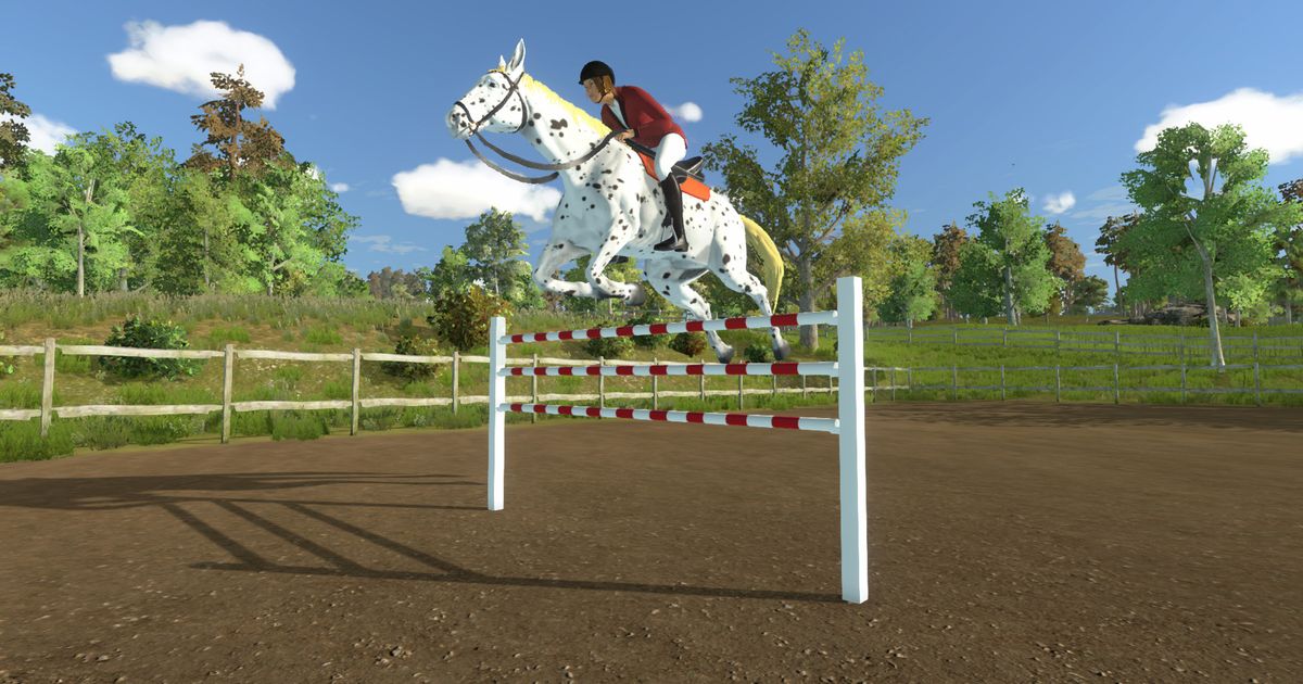 My Little Riding Champion