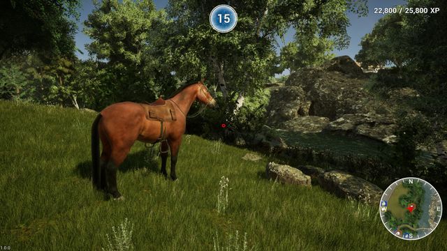 Animal Doctor — скриншот 4