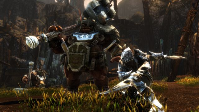 Kingdoms of Amalur Re Reckoning — скриншот 2