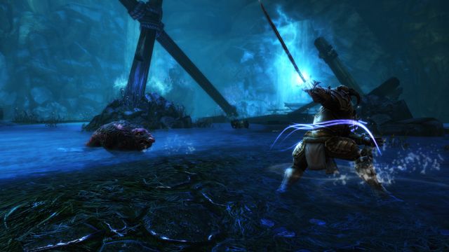 Kingdoms of Amalur Re Reckoning — скриншот 5
