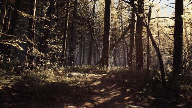 Blair Witch — скриншот 4