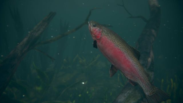 Ultimate Fishing Simulator 2 — скриншот 1