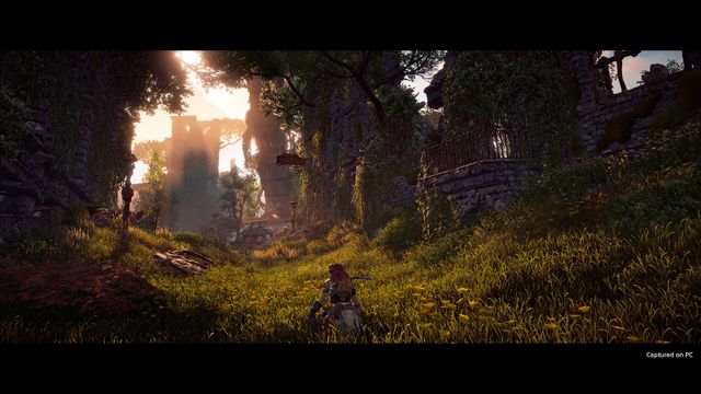 Horizon Zero Dawn™ Remastered — screenshot 5