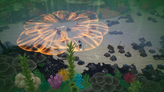 Coral Island — скриншот 2
