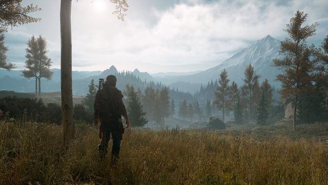 Days Gone — скриншот 6
