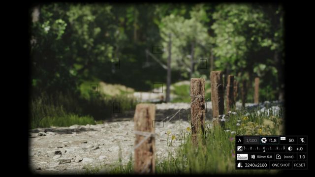 Lushfoil Photography Sim — скриншот 4