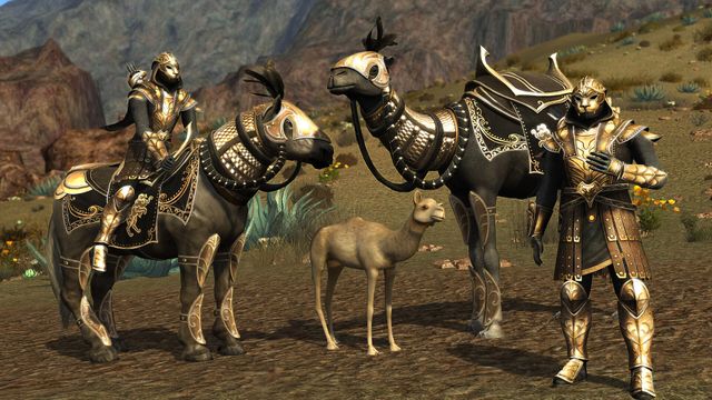 Lord of the Rings Online — captura 1