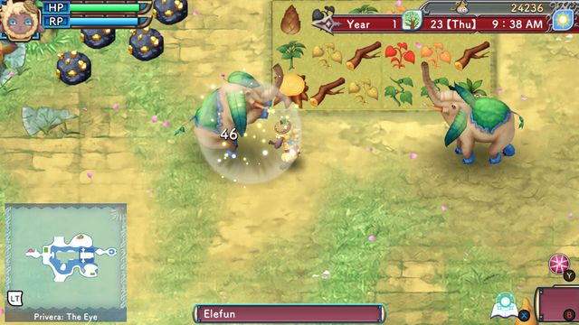 Rune Factory 3 Special — screenshot 1