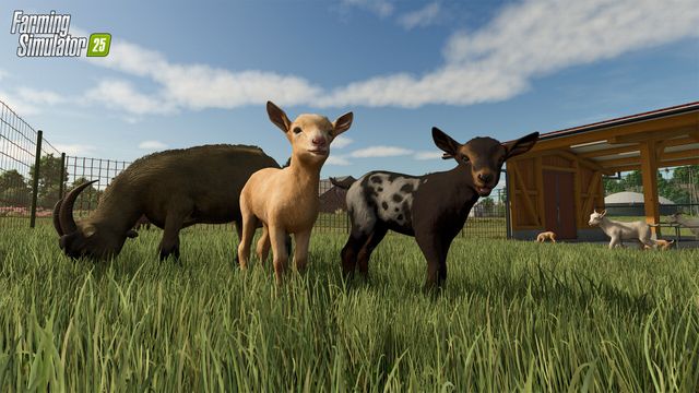 Farming Simulator 25 — скриншот 4