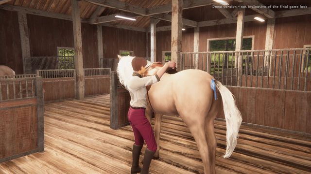 My Horse Bonded Spirits — скриншот 5