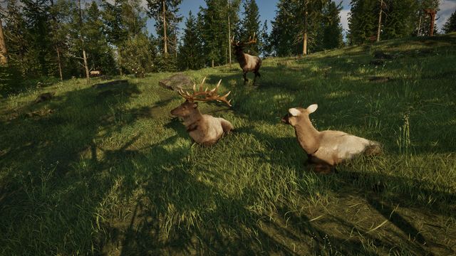 Ranger’s Path National Park Simulator — screenshot 6