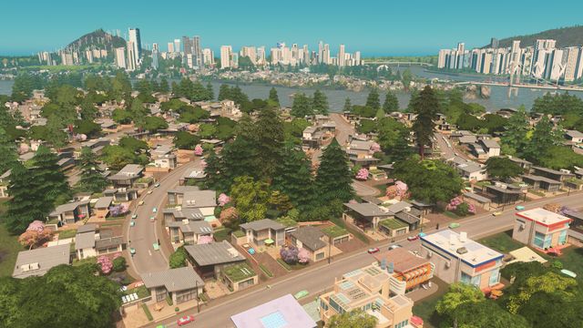 Cities Skylines — скриншот 1