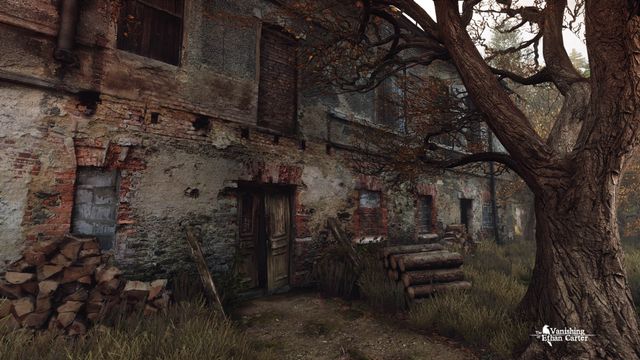 The Vanishing of Ethan Carter — captura 2