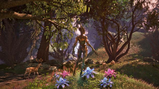 The Elder Scrolls IV Oblivion — captura 5
