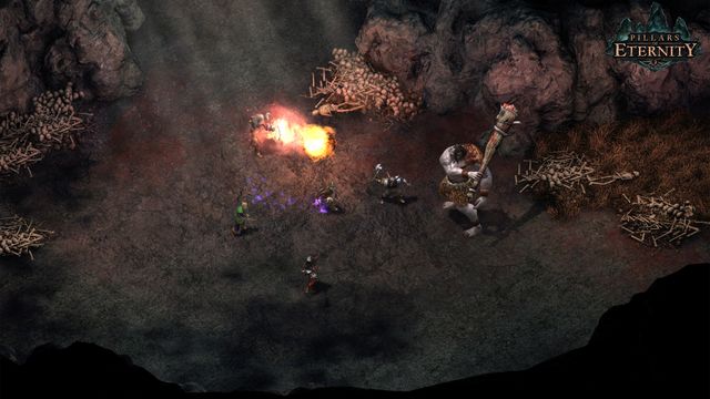 Pillars of Eternity — скриншот 6