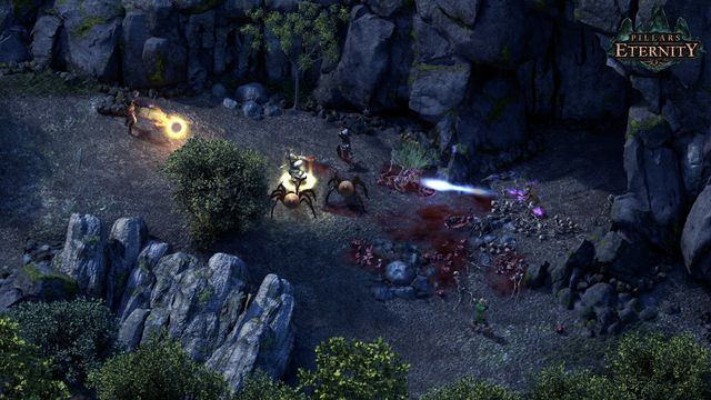 Pillars of Eternity — скриншот 4