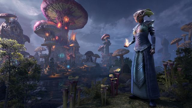 The Elder Scrolls Online — скриншот 5
