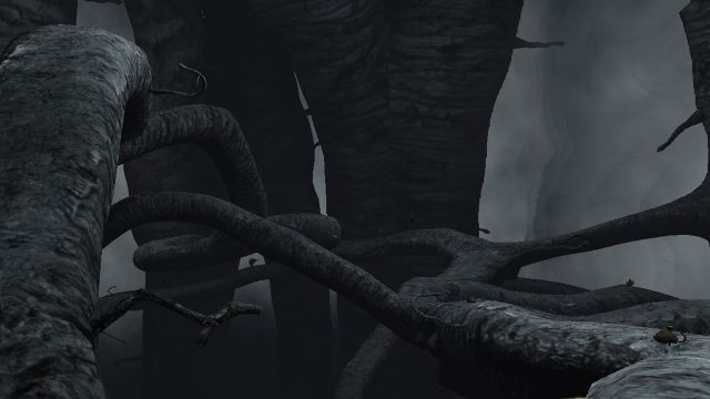 The Void — captura 5