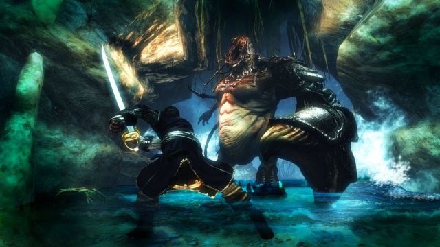 Risen 2 Dark Waters — скриншот 1