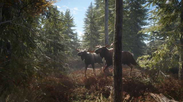 theHunter Call of the Wild — скриншот 1